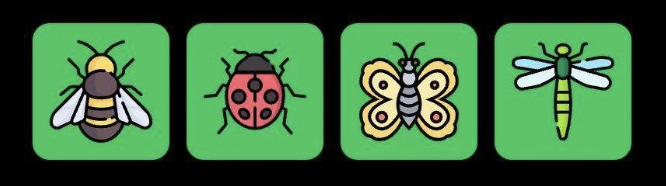 FLIES Daily Combo 7 April 2025